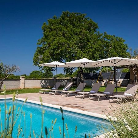 Activity Villa Gita With Pool And Grill In Tinjan Экстерьер фото
